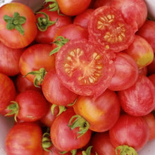 Organic 'Vernissage Pink' Tomato