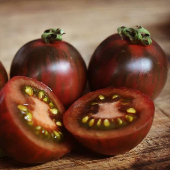 Tomate 'Violet Jasper' bio