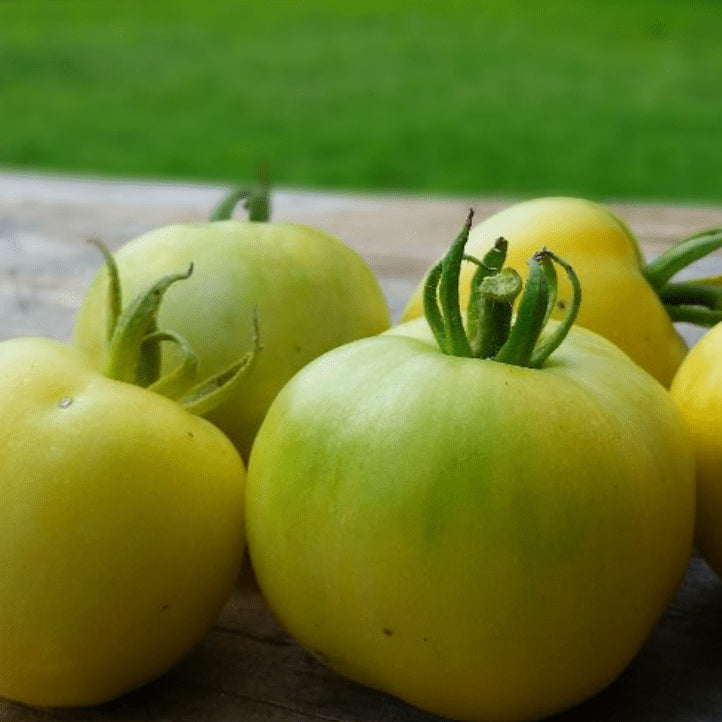 Organic 'Wapsipicon Peach' Tomato