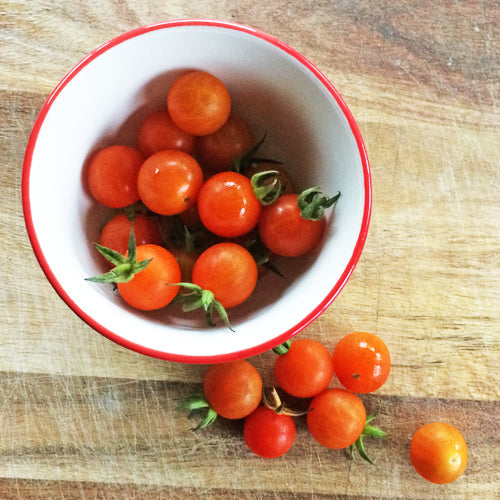 Organic 'Petit Moineau' Cherry Tomato