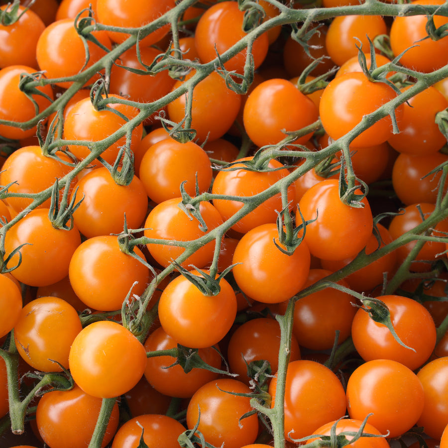 Tomato Orange cherry 
