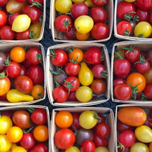 Organic cherry tomato mix