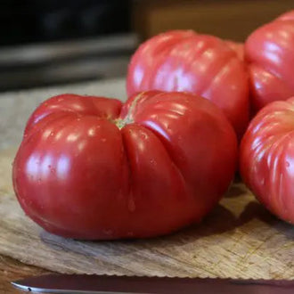 Photo de Tomate hybride 'Pink Delicious Rose'. La tomate 'Pink Delicious' F1 produit de gros fruits roses et ronds sur un plant indéterminé. Ses fruits sont sucrés, réguliers et moins sujets au fendillement que plusieurs tomates roses traditionnelles. La couleur caractéristique est : rose. Le visuel permet d'observer les contours, les teintes et la disposition des éléments présentés.