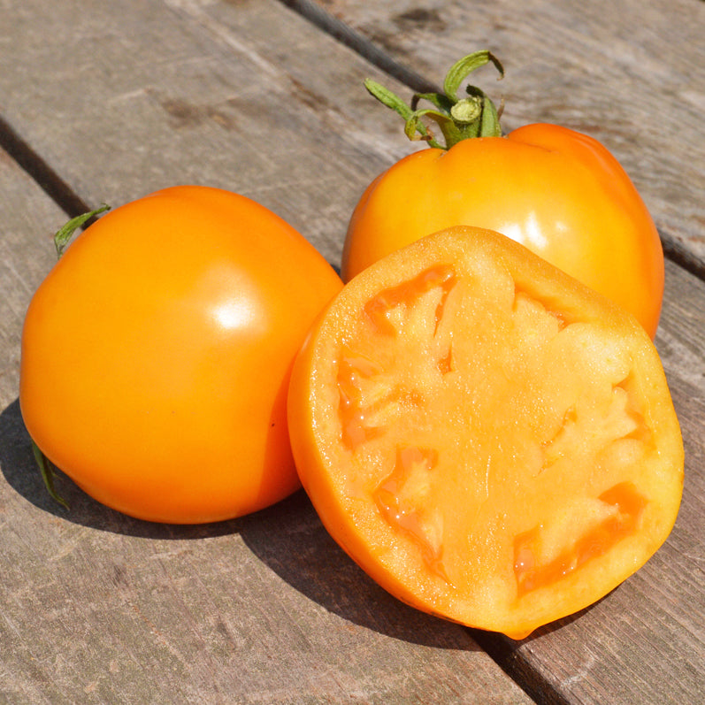 Organic 'Jubilee' Tomato