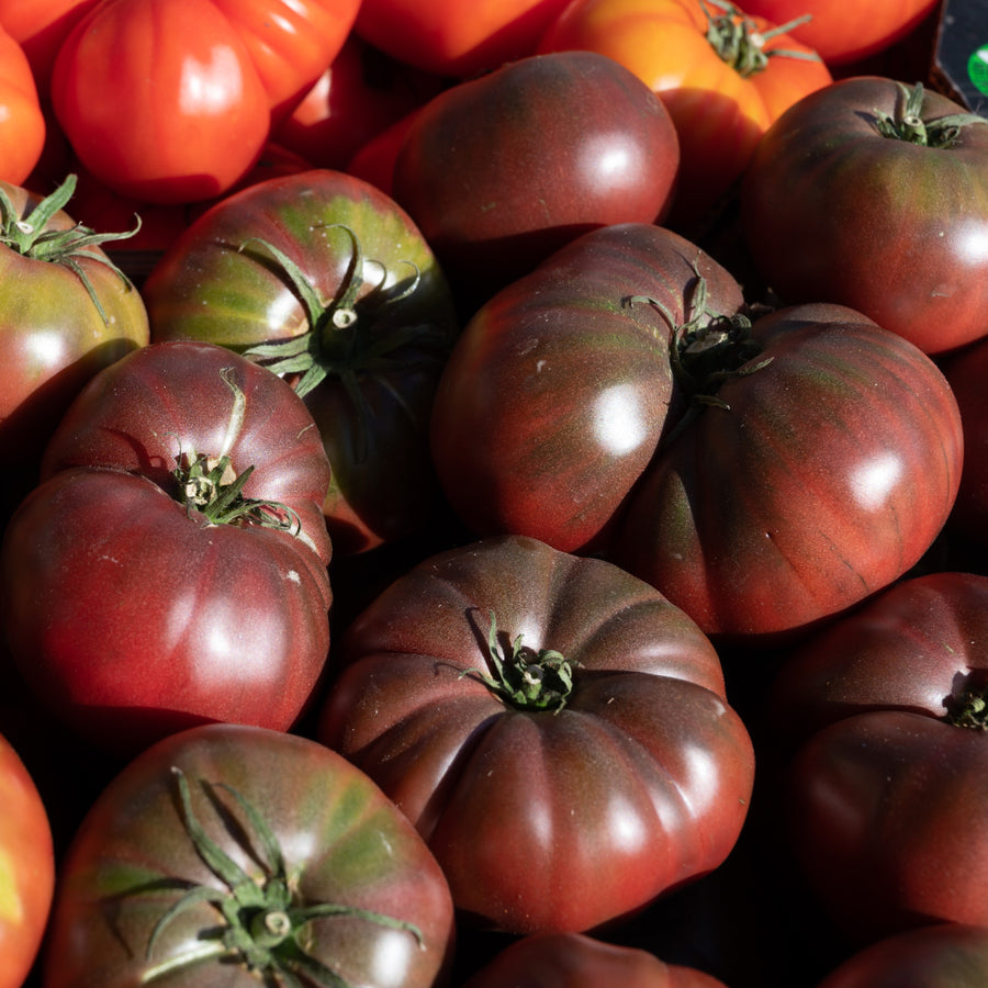 Heirloom tomato 'Black Krim'