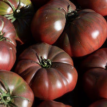 Tomate brune 'Cappuccino'