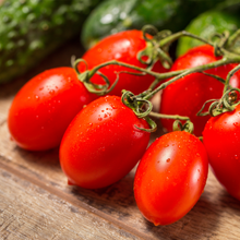 Tomate italienne Roma