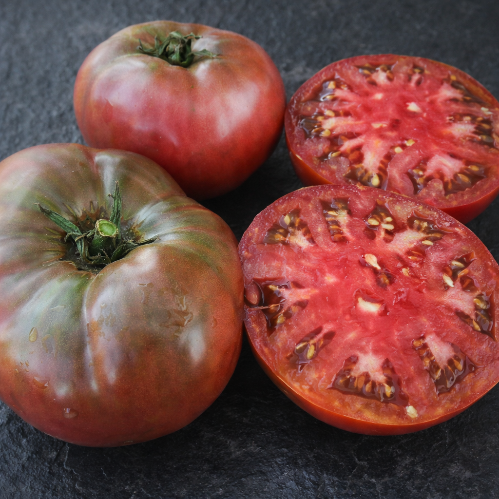 Tomate mauve ‘Cherokee Purple’ (<em>Solanum lycopersicum</em>)