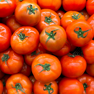 Celebrity Red Tomato