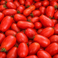 Tomate rouge à sauce ‘San Marzano’ (<em>Solanum lycopersicum</em>)