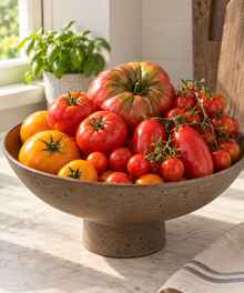 Tomates surprise – mélange aléatoire de 3 variétés (<em>Solanum lycopersicum</em>)