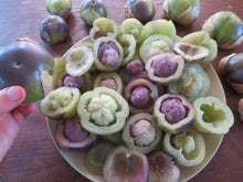 Tomatillo 'Amethyst &amp; Emerald Geodes'