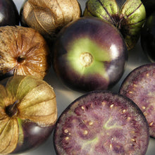 Tomatillo Purple. Tomatillos verts et pourpres, entiers et ouverts. Le cadrage permet de voir les formes, les couleurs et les détails du sujet représenté. Les contours se détachent du fond de l’image, avec des différences de teinte et de texture visibles sur les surfaces. Cette vue accompagne la présentation du produit dans la boutique.