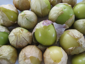 Tomatillo 'Verdelino'