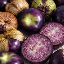 Tomatillo mauve (<em>Physalis ixocarpa</em>)