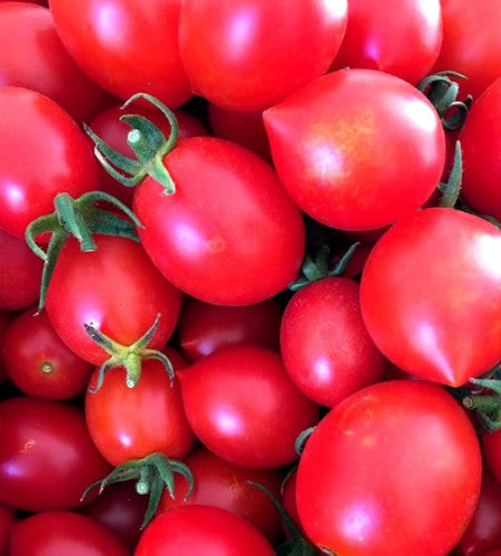 Illustration associée à Tomate Principe Borghese, dans la gamme Weston. Principe Borghese produit de petites tomates rouges réunies en grappes, à chair peu chargée de graines, pour les récoltes fraîches ou cuisinées. Le visuel permet de repérer la référence et l’aspect présenté pour cette sélection. Les dimensions et les couleurs observées au jardin dépendent du stade de croissance et des conditions de culture.