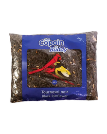 Graines de tournesol pour oiseaux Picardie – 450 g — photo sur fond blanc