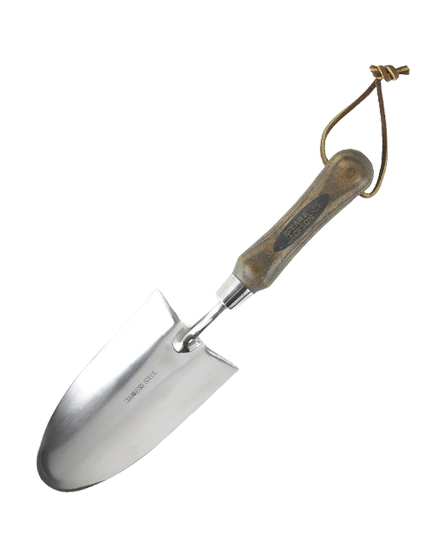Transplantoir traditionnel en acier inoxydable — photo sur fond blanc