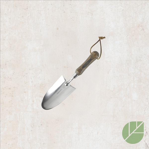 Transplantoir traditionnel en acier inoxydable