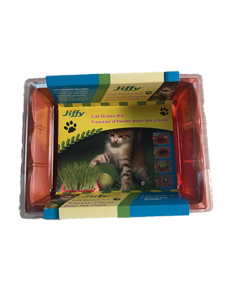 Trousse d'herbe à chat — photo sur fond blanc