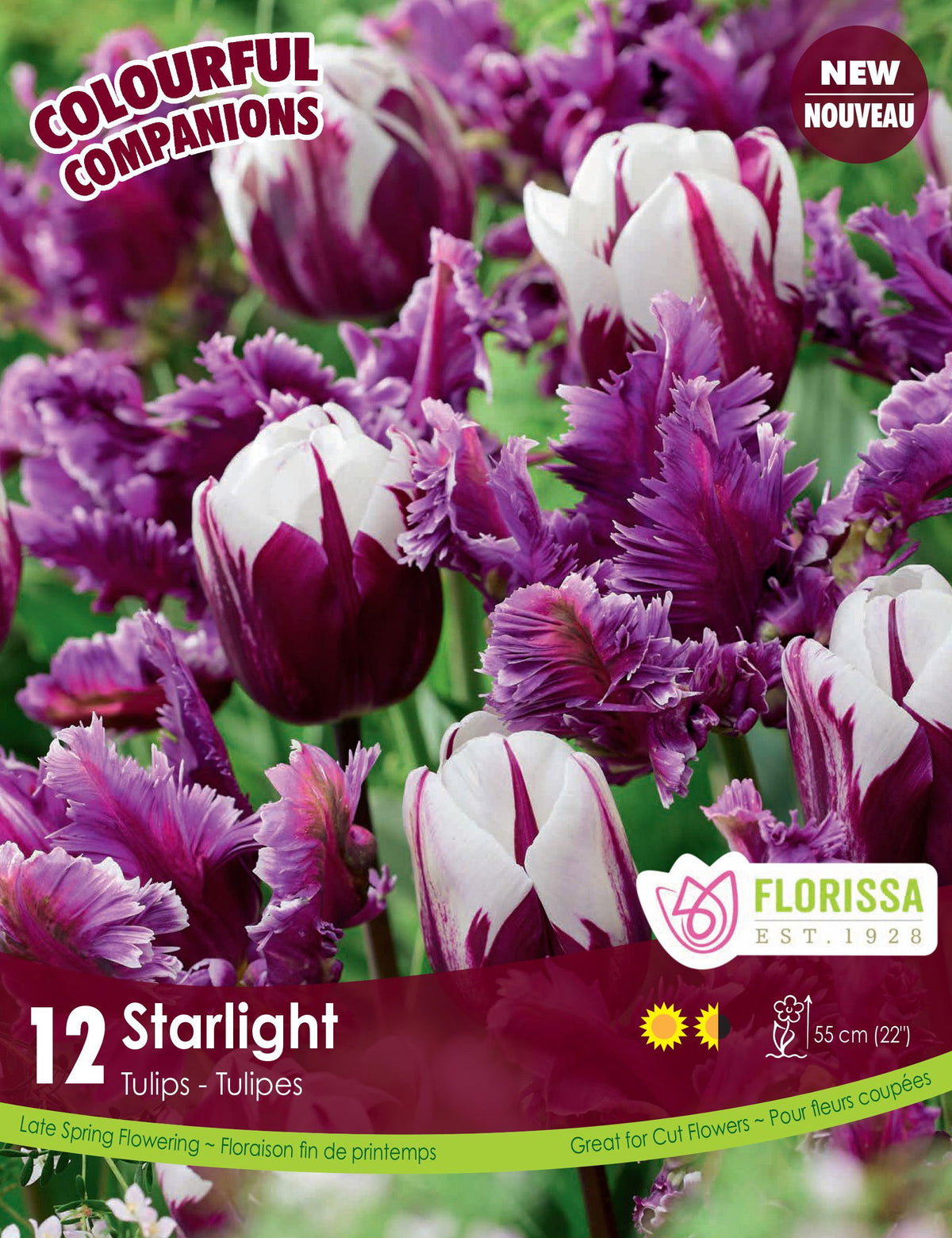 Harmonie florale Starlight ( Tulipa spp.) : des tulipes blanches et pourpres de formes variées. Le visuel Florissa présente la plante et son nom dans la partie inférieure de l’étiquette. La photographie occupe presque toute la surface, tandis que le bandeau du bas rassemble les indications du produit. Cette vue permet de reconnaître son apparence et de distinguer la variété présentée.