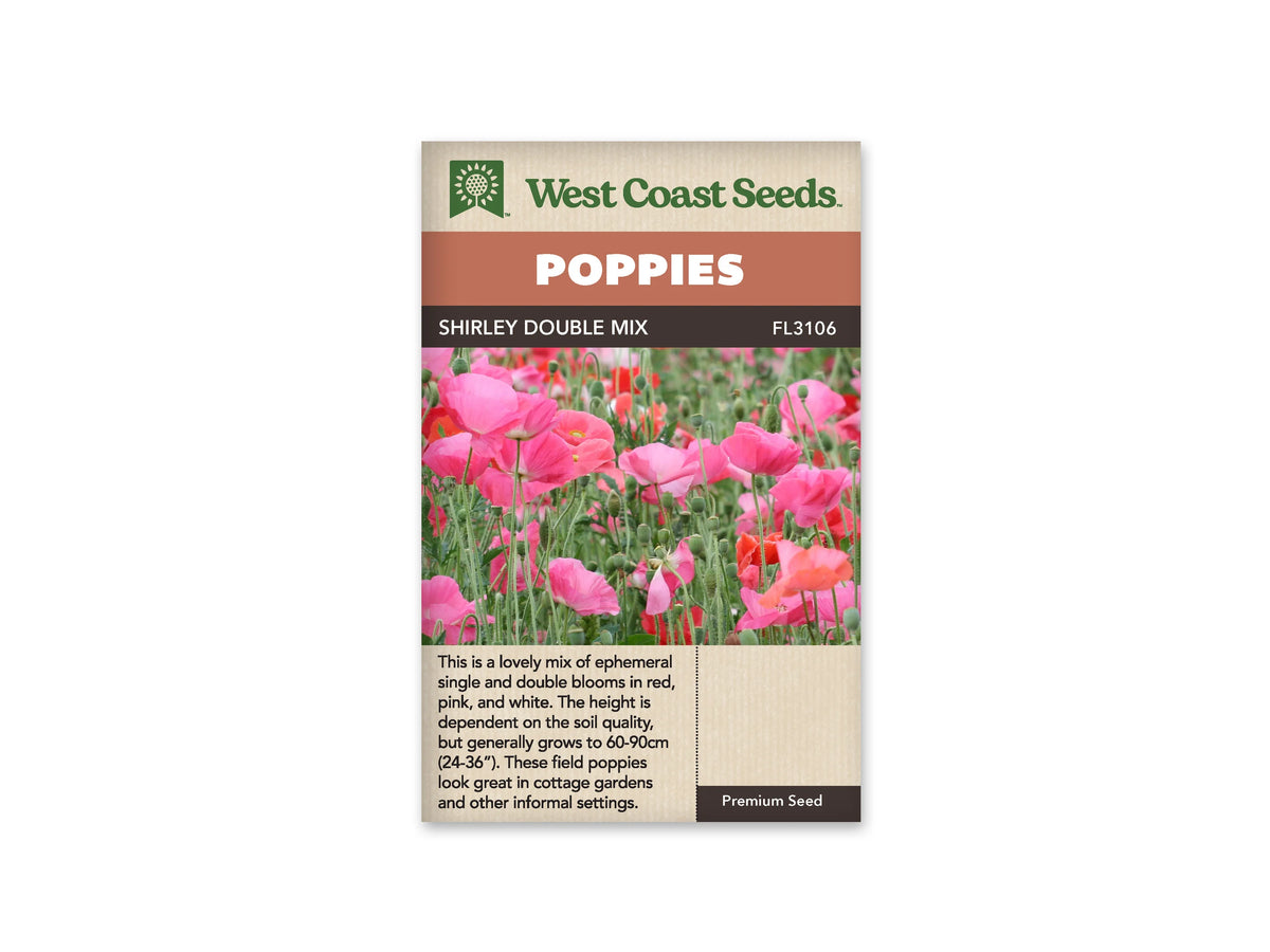 Sachet Shirley Double Mix de West Coast Seeds sur fond blanc. La photo montre surtout des fleurs roses, avec quelques corolles rouges, sur de longues tiges vertes fines. De nombreux boutons penchés et des capsules se dressent entre les fleurs ouvertes. Le bandeau orange indique Poppies et la bande brune porte Shirley Double Mix, code FL3106.