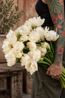 Tulipe Mondial