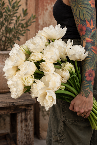 Tulipe Mondial