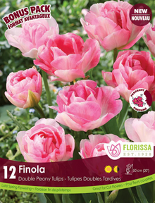 Tulipe ‘Finola’ ( Tulipa ) : des tulipes doubles roses et blanches réunies en groupe. Le visuel Florissa présente la plante et son nom dans la partie inférieure de l’étiquette. La photographie occupe presque toute la surface, tandis que le bandeau du bas rassemble les indications du produit. Cette vue permet de reconnaître son apparence et de distinguer la variété présentée.