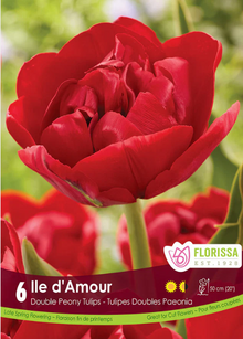 Tulipe ‘Île d’Amour’ ( Tulipa ) : une tulipe double rouge aux pétales arrondis. Le visuel Florissa présente la plante et son nom dans la partie inférieure de l’étiquette. La photographie occupe presque toute la surface, tandis que le bandeau du bas rassemble les indications du produit. Cette vue permet de reconnaître son apparence et de distinguer la variété présentée.