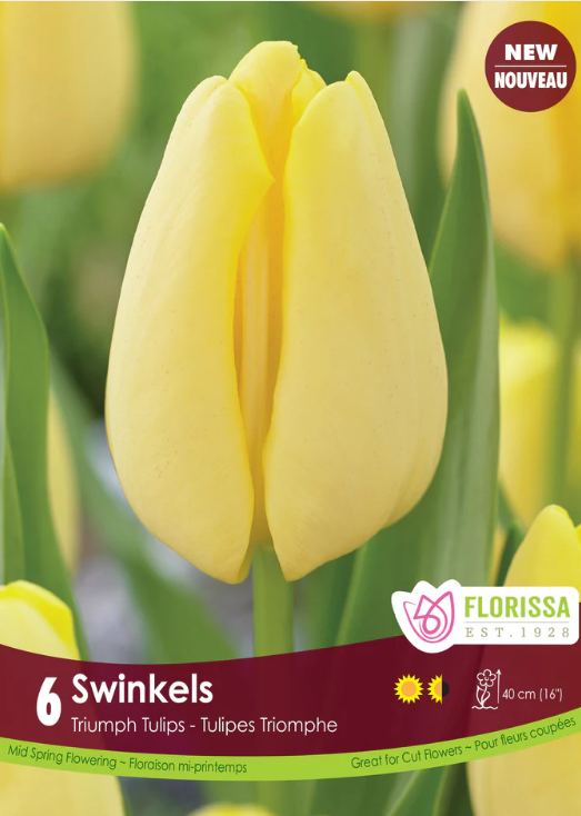 Tulip Swinkels