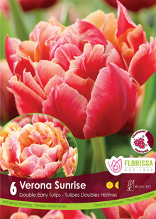 Tulipe ‘Verona Sunrise’ ( Tulipa ) : des tulipes doubles aux pétales roses, saumon et jaune doux. Le visuel Florissa présente la plante et son nom dans la partie inférieure de l’étiquette. La photographie occupe presque toute la surface, tandis que le bandeau du bas rassemble les indications du produit. Cette vue permet de reconnaître son apparence et de distinguer la variété présentée.