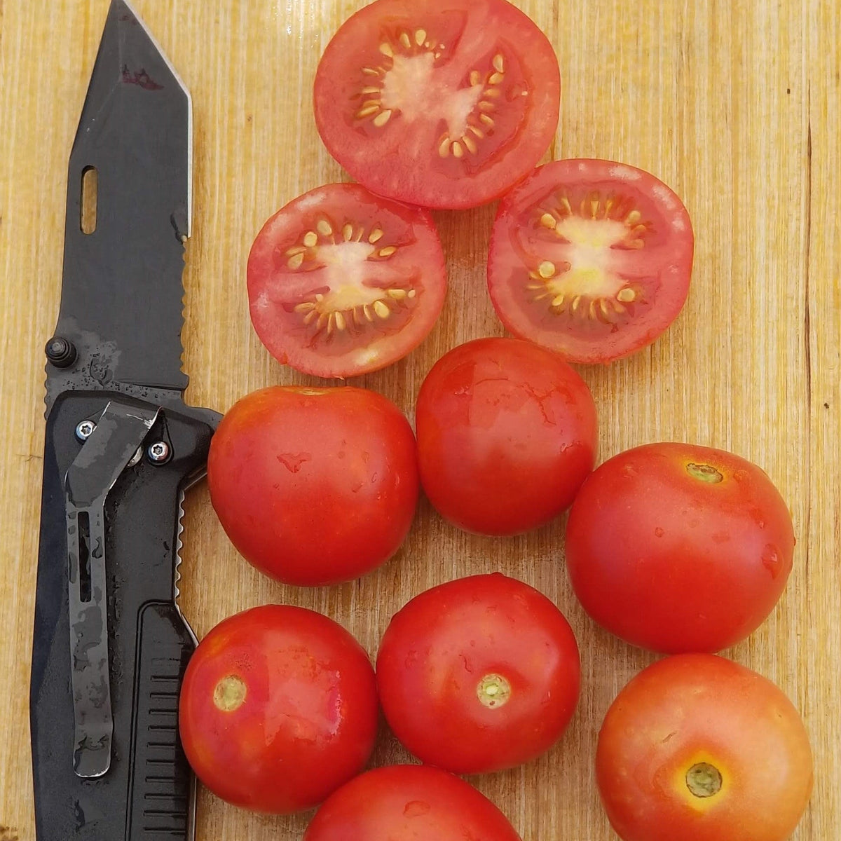 Organic 'Tumbling Tom Red' Tomato