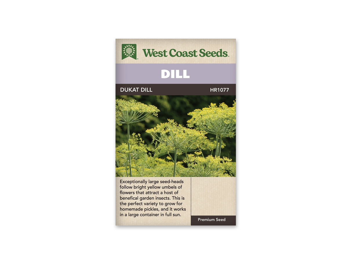 Sachet d’aneth Dukat West Coast Seeds présenté de face sur fond blanc. La photographie montre plusieurs grandes ombelles de petites fleurs jaunes, portées par des tiges vertes parmi le feuillage. Le bandeau mauve porte le mot DILL, et le nom DUKAT DILL apparaît juste dessous. Une description en anglais occupe la partie beige inférieure.