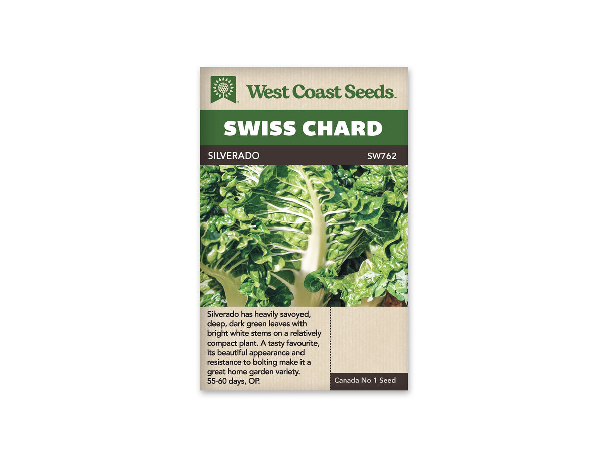 Sachet West Coast Seeds Silverado illustré d’une grande feuille de bette gaufrée. La carde blanche et ses nervures claires contrastent avec le feuillage vert foncé, dont les bords sont recourbés. D’autres feuilles entourent le premier plan. Le nom Silverado apparaît sur le bandeau brun, sous le grand titre Swiss Chard du sachet.