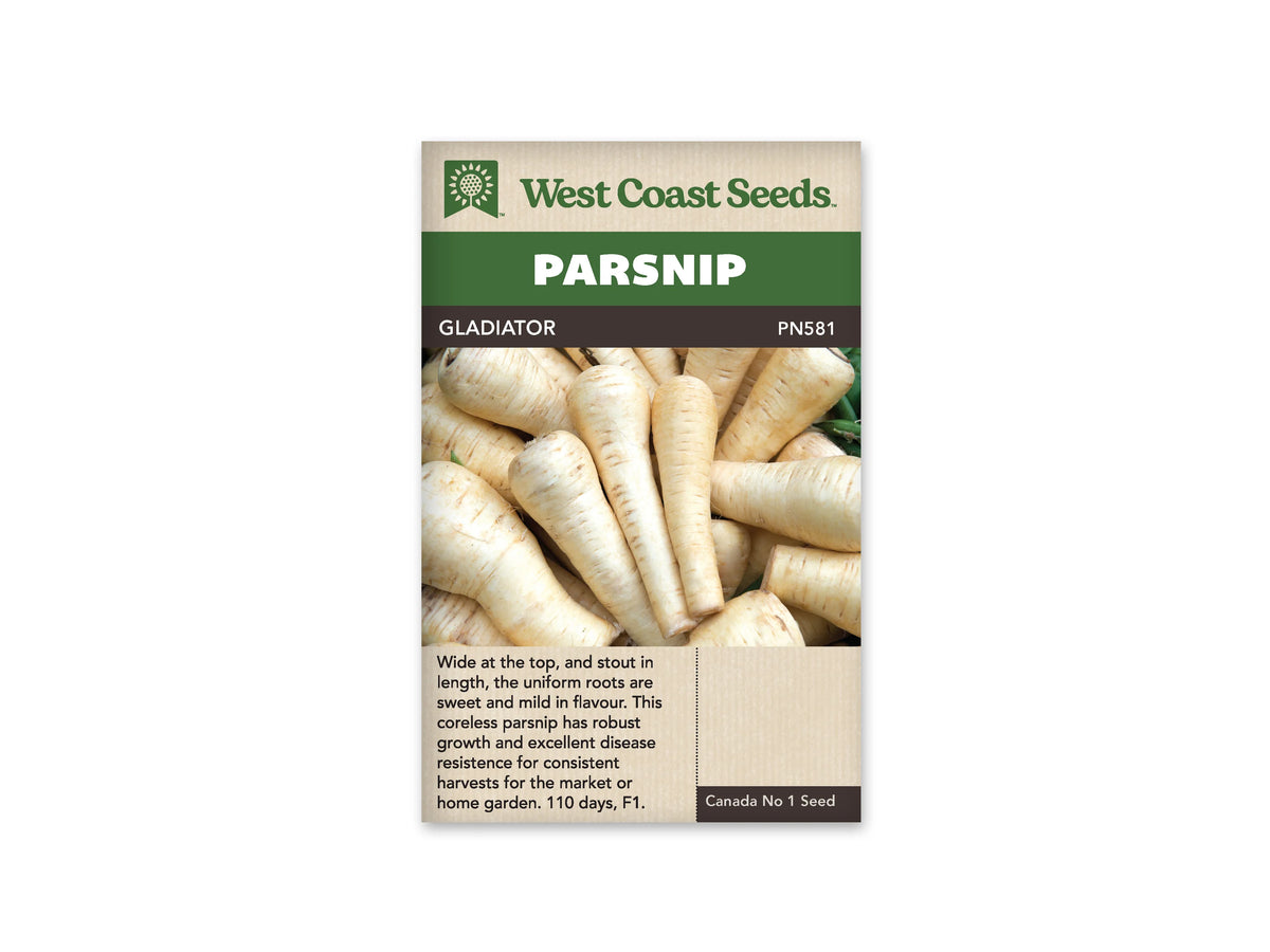 Sachet West Coast Seeds Gladiator montrant un tas de panais ivoire à épaules larges. Les racines s’amincissent vers leur pointe et portent de fines marques brunes sur la peau. Elles se chevauchent au centre de la photo. Le nom Gladiator figure dans le bandeau brun sous le titre blanc sur fond vert.