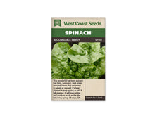 Sachet West Coast Seeds Bloomsdale Savoy montrant un gros plan de feuilles d’épinard gaufrées. Des gouttes d’eau brillent sur les surfaces vertes et dans les creux du feuillage. Les petites feuilles du cœur sont serrées au centre. Le nom de la variété est inscrit dans le bandeau brun sous le titre Spinach.