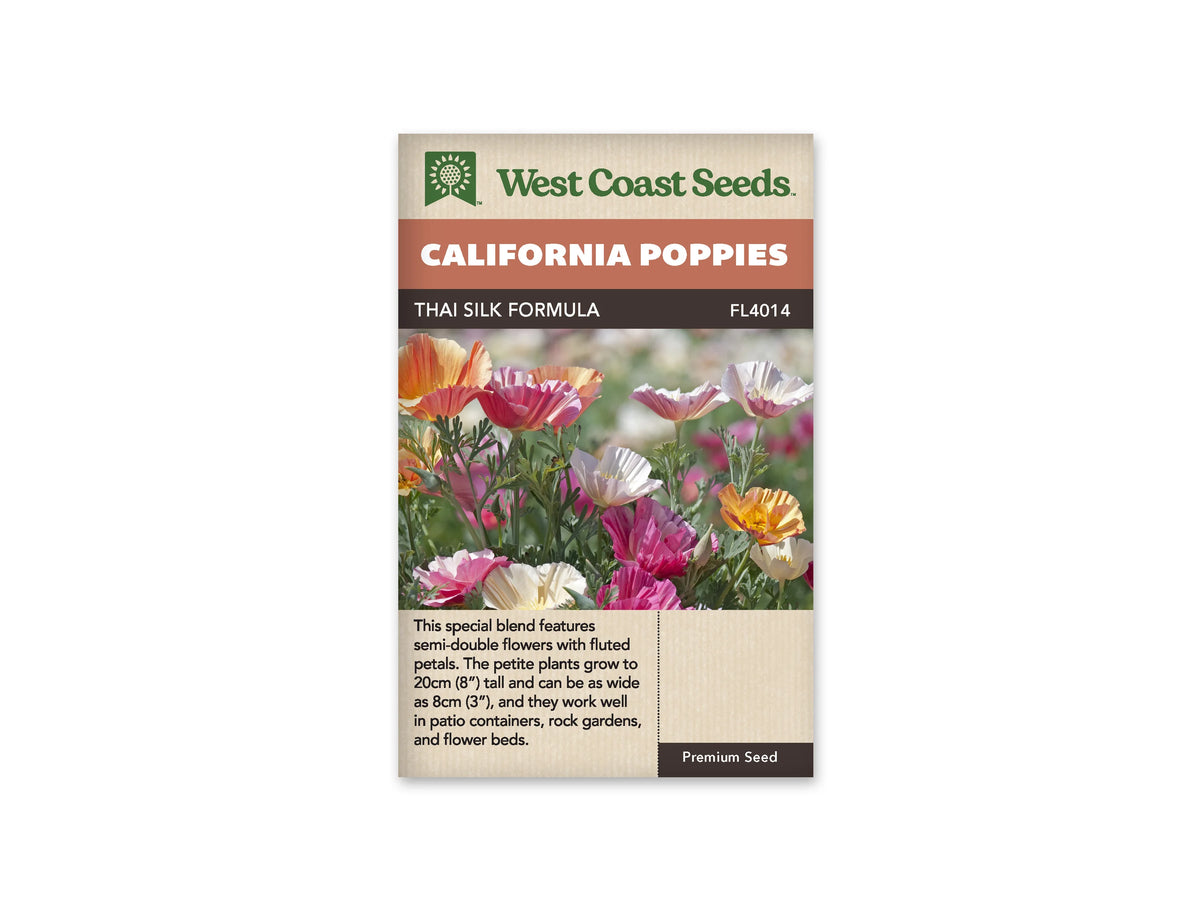 Sachet Thai Silk Formula de West Coast Seeds sur fond blanc. La photo montre des fleurs aux pétales plissés roses, crème, orangés et mauves au-dessus de feuilles finement découpées. Plusieurs corolles sont ouvertes en coupe sur des tiges vertes. Le bandeau orange porte California Poppies et la bande brune indique Thai Silk Formula, avec le code FL4014.