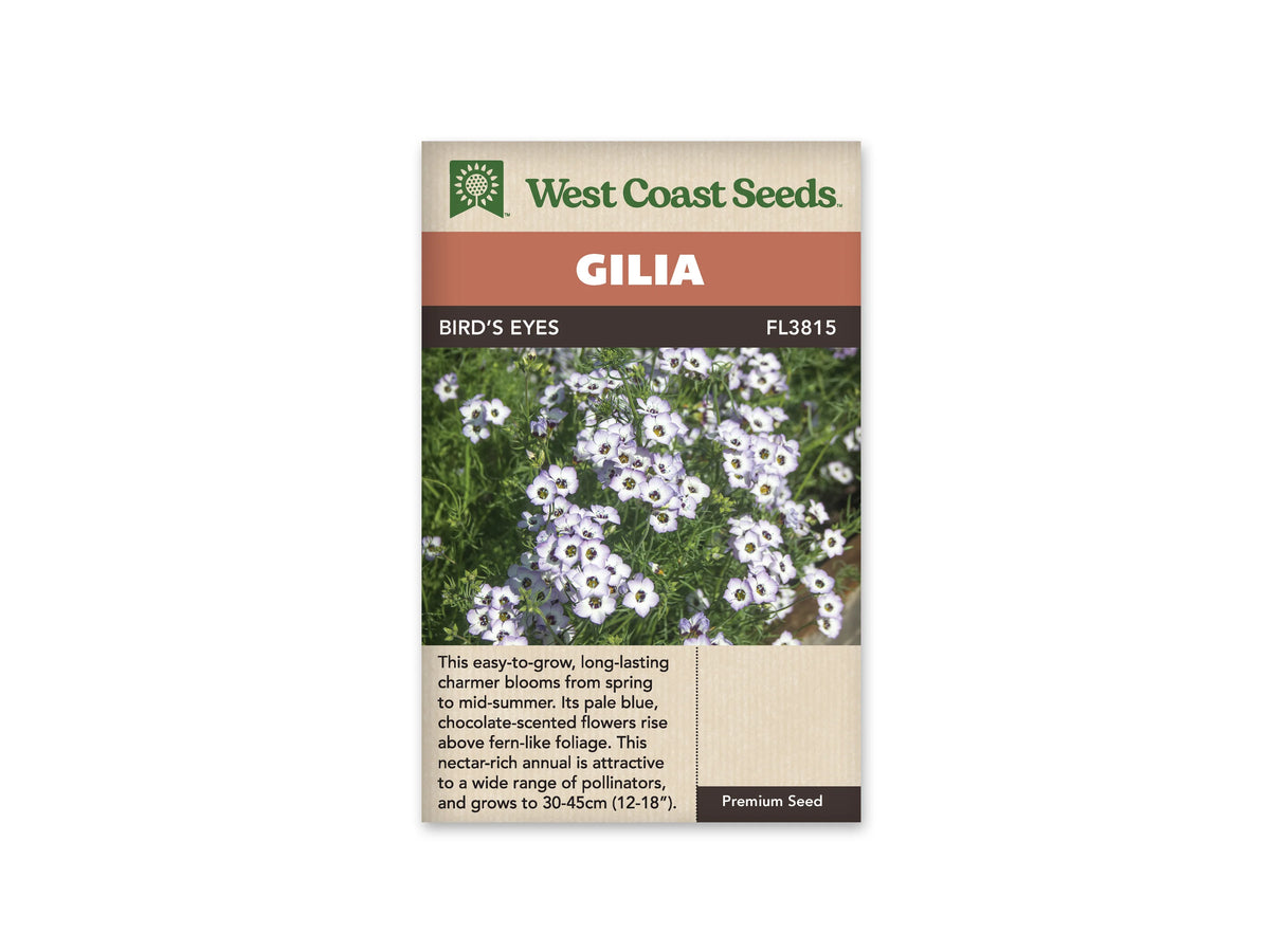 Sachet Bird’s Eyes de West Coast Seeds sur fond blanc. La photo montre de petites fleurs blanc violet pâle à cinq lobes, avec un centre pourpre foncé et une gorge jaune. Le feuillage vert finement découpé remplit le fond. Le bandeau orange indique Gilia; la bande brune porte Bird’s Eyes et le code FL3815.