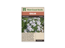 Sachet Bird’s Eyes de West Coast Seeds sur fond blanc. La photo montre de petites fleurs blanc violet pâle à cinq lobes, avec un centre pourpre foncé et une gorge jaune. Le feuillage vert finement découpé remplit le fond. Le bandeau orange indique Gilia; la bande brune porte Bird’s Eyes et le code FL3815.