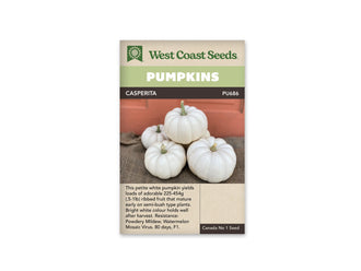 Sachet Casperita de West Coast Seeds avec une bande vert pâle et le nom sur fond sombre. La photo montre plusieurs petites citrouilles blanches côtelées, avec des pédoncules verts ou beiges. Elles sont groupées sur une toile brune devant un fond orangé. Un fruit est posé au-dessus des autres. Le bas du sachet est beige et porte du texte.