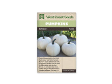 Sachet Blanco de West Coast Seeds avec un bandeau vert pâle et le nom sur fond brun. Quatre citrouilles blanches à côtes fines reposent sur une surface grise, devant du feuillage vert. Leurs pédoncules longs sont verts et parfois courbés. Une zone beige contenant du texte apparaît dans le bas du sachet.