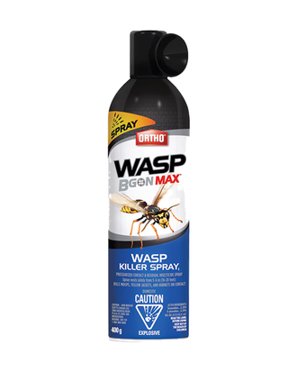 Anti-guêpes en aérosol - ORTHO® WASP B GON MAX® — photo sur fond blanc