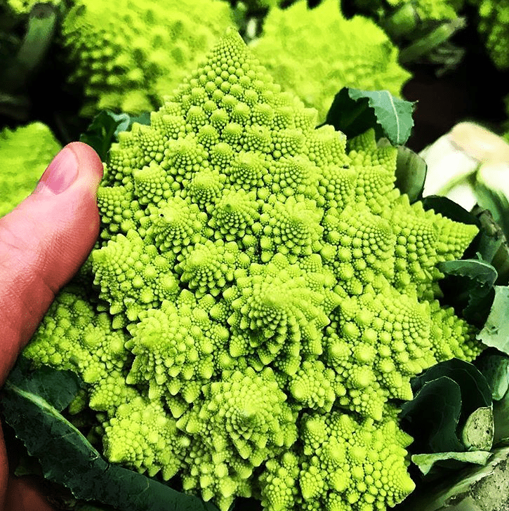 Organic Veronica F1 Romanesco Cauliflower Seeds by Gaia, product image prepared for Canadian gardeners.