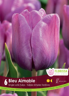 Tulipe Bleu Aimable ( Tulipa ) : une tulipe mauve légèrement plus sombre à la base. Le visuel Florissa présente la plante et son nom dans la partie inférieure de l’étiquette. La photographie occupe presque toute la surface, tandis que le bandeau du bas rassemble les indications du produit. Cette vue permet de reconnaître son apparence et de distinguer la variété présentée.