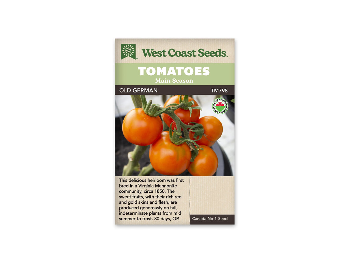 Sachet West Coast Seeds portant les mentions Tomatoes, Main Season et Old German. La photo montre de grosses tomates jaune orangé marquées de rouge, attachées à des tiges avec des feuilles vertes. Un logo biologique rond apparaît à droite. Le nom et le code TM798 figurent sous les bandeaux verts de la marque.