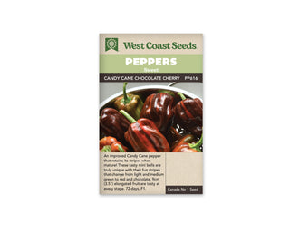 Sachet West Coast Seeds de poivron Candy Cane Chocolate Cherry. La photo montre plusieurs fruits lisses et lobés, brun foncé avec des rayures rouges, et des pédoncules verts. Un fruit allongé occupe le premier plan. Le bandeau vert porte Peppers et Sweet. Le nom de la variété et le code PP616 figurent au-dessus de la photo.