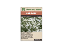 Le sachet West Coast Seeds montre une plantation dense d'achillées blanches. Les petites fleurs forment de nombreux groupes aplatis à différentes hauteurs, au-dessus de tiges vertes et de feuilles finement découpées. Quelques fleurs sont encore en boutons entre les groupes ouverts. Le bandeau porte le nom Western Yarrow et la référence FL3825 au-dessus de l'image.