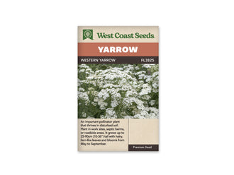 Le sachet West Coast Seeds montre une plantation dense d'achillées blanches. Les petites fleurs forment de nombreux groupes aplatis à différentes hauteurs, au-dessus de tiges vertes et de feuilles finement découpées. Quelques fleurs sont encore en boutons entre les groupes ouverts. Le bandeau porte le nom Western Yarrow et la référence FL3825 au-dessus de l'image.