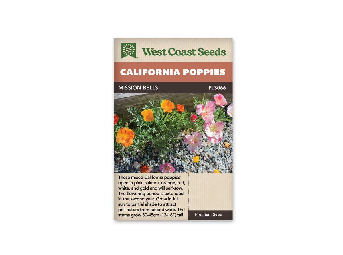 Sachet Mission Bells de West Coast Seeds sur fond blanc. La photo montre des fleurs orange et roses aux zones plus pâles, parmi un feuillage gris-vert découpé. Les plants poussent dans du gravier devant une bordure de bois. Quelques pétales sont tombés au sol. Le bandeau orange indique California Poppies et la bande brune porte Mission Bells, code FL3066.